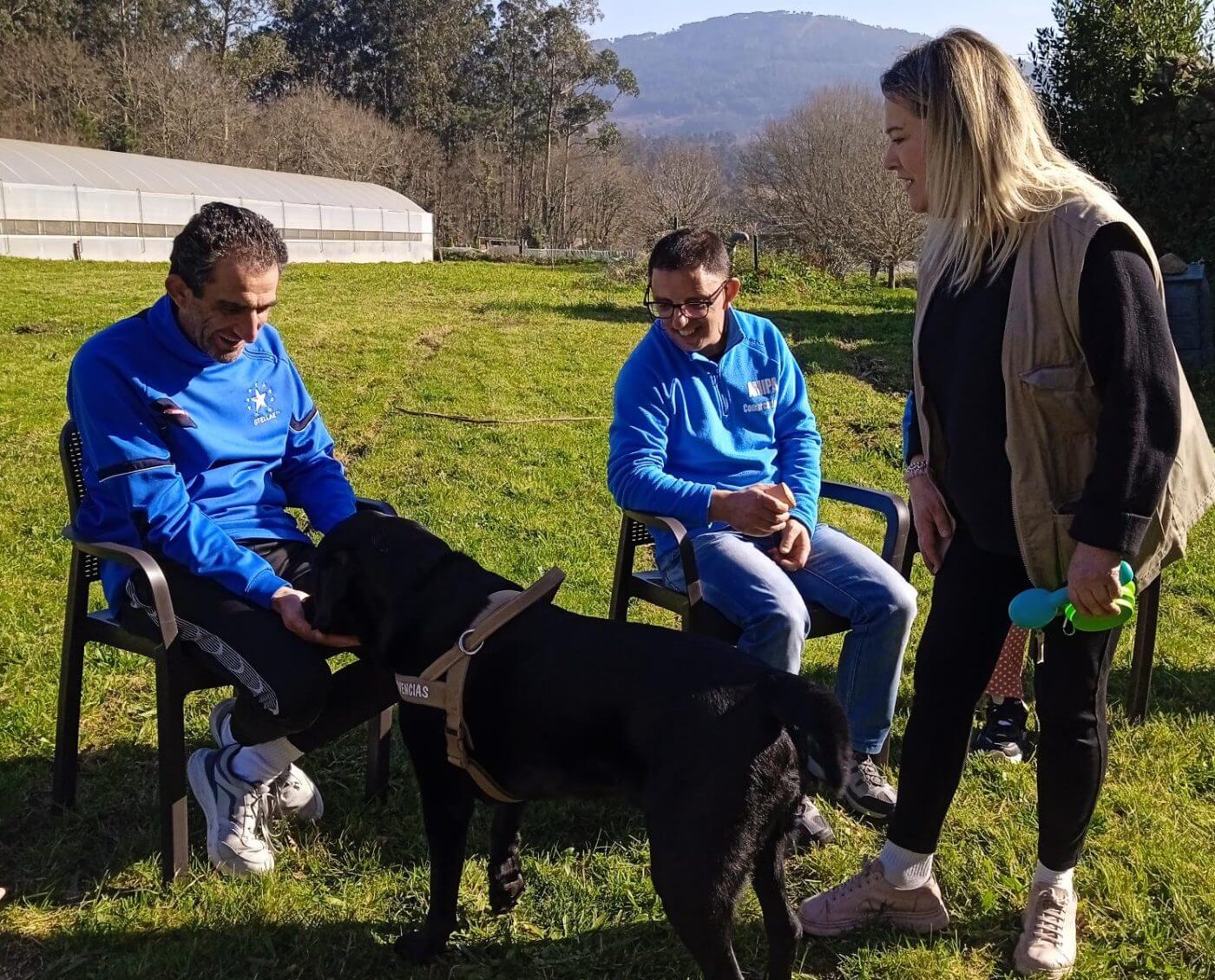 Intervención asistida con animais